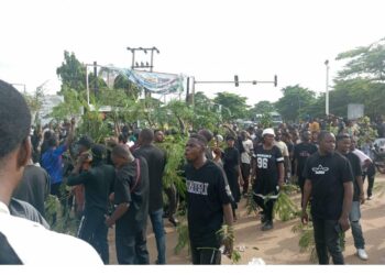 Benue Protest Turns Violent as Peaceful Demonstrators Tear-Gassed in Makurdi