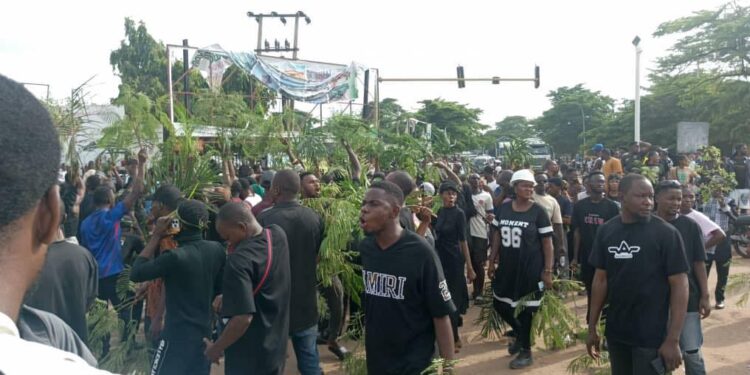 Benue Protest Turns Violent as Peaceful Demonstrators Tear-Gassed in Makurdi