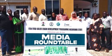 FGN/IFAD Programme Boosts Rice, Cassava Yields as Nasarawa Farmers Record Exceptional Harvests