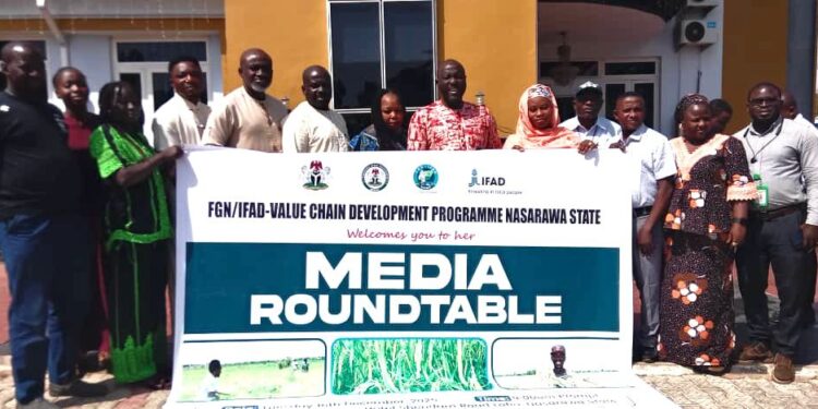 FGN/IFAD Programme Boosts Rice, Cassava Yields as Nasarawa Farmers Record Exceptional Harvests